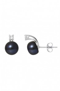 Boucles d'Oreilles Argent