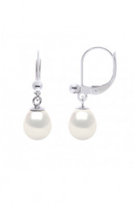 Boucles d'Oreilles Argent