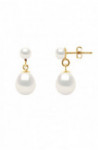 Boucles d'Oreilles Or